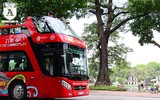 Xe buýt 2 tầng chính thức 